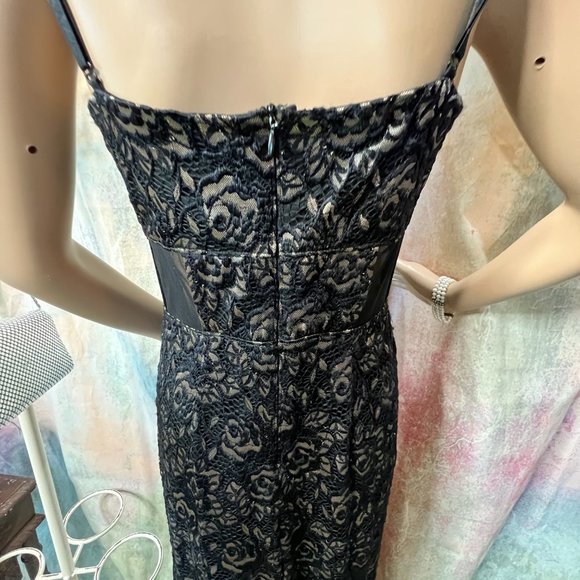 📌Alex B Sexy Lace Straps or Strapless Formal - Prom Dress Waistline Transparent - Picture 10 of 16